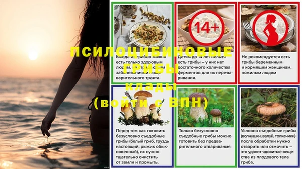 эйфоретик Касимов