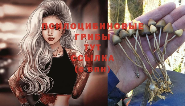 эйфоретик Касимов