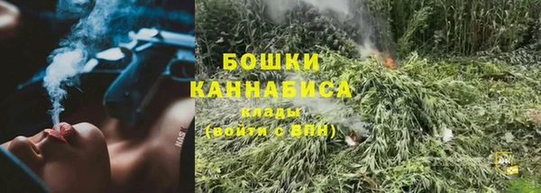 прущие грибы Киреевск
