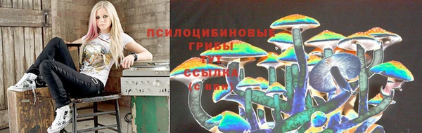 эйфоретик Касимов