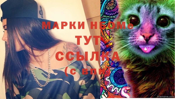 ГАЛЛЮЦИНОГЕННЫЕ ГРИБЫ Великий Новгород