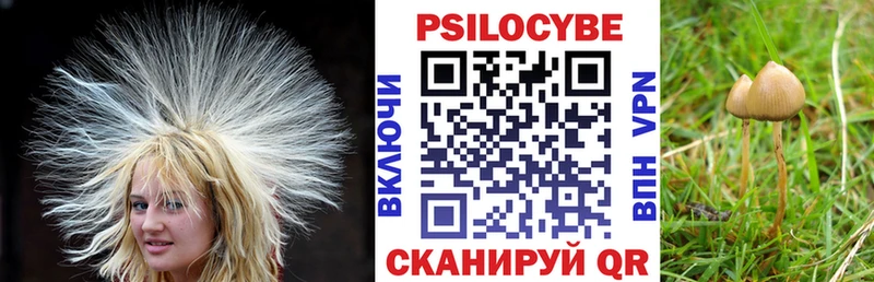 Купить  Лобня  Псилоцибиновые грибы мухоморы 